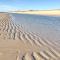 Strandhafer