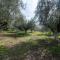 Olive Grove Getaway - Oikhalía