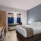 Microtel Inn and Suites - Zephyrhills