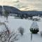Gîte à Gérardmer - Proche lac et pistes, Chem cheminée, 2 chambres - FR-1-589-108