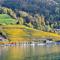 Lakeview apartment in beautiful Oberhofen - Oberhofen am Thunersee