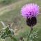 Cragside - Callander