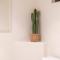 Modern Secluded with Amazing Views Hot Tub Casita
