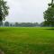 The Hidden Fishponds Gem