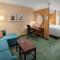 SpringHill Suites by Marriott Modesto