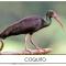 Finca Durango Circasia - 锡卡西亚