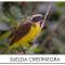 Finca Durango Circasia - 锡卡西亚