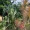 Pandanus Paradise. Newly renovated 4 bedroom home