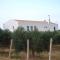 2 bedrooms house with private pool terrace and wifi at Partinico 1 km away from the beach