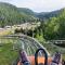 LE VERTBRUCHE - Gîte avec superbe vue pour 15 pers - La Bresse