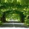 nur wenige Gehminuten zum Zentrum und Strand Wohnung 17 -