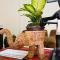 Maria’s Place Homestay - 碧瑶