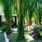 House in the palm forest