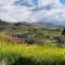 THE ROCK HOUSE - Beautiful countryside with mandarins oranges and olive trees,. Near Limassol at Eptagonia village.