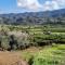 THE ROCK HOUSE - Beautiful countryside with mandarins oranges and olive trees,. Near Limassol at Eptagonia village.