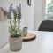 Duplex Condo Prime Location 2bth 2 Studios - Sofie