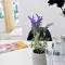 Duplex Condo Prime Location 2bth 2 Studios - Sofie