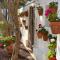 Boutique Hideaway Cortijo El Sarmiento