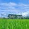 Kitefarm