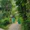 My Paradise