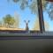 Rustic Yosemite Cottage-King Suite-Mountain Views - Oakhurst