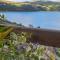 Playa Blanca Baruch Glamping Tota