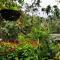 Cozy Homestay Waterfall Road Ella