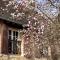 EVERGREEN GuestHouse