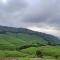 Entire Private Guest House Munnar - Munnar