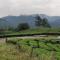Entire Private Guest House Munnar