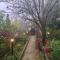 Silver Spruce Glass Villa 1BHK Kotagiri - Котагири