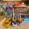 DeerStar HomeStay B&B