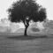 137 Vaal De Grace Golf Estate