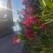 Studio apartman AS
