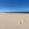 Le Roulis De Panne