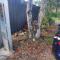 Glamping at Zeehan Bush Camp