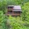 Firefly Lodge Private Log Cabin with Mountain Views! - Блек-Маунтін