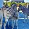 Seas the Day Romansbaai