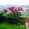 Garden View Apartment - Kigali