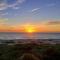 Atrium Condo Superior - Sleeps 4 Guests 116
