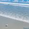 Atrium Condo Superior - Sleeps 4 Guests 116