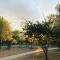 Kubu Bush Lodge