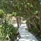 Large Oceanfront Property wPool 8br sleeps 24 - 可可比奇