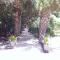 Large Oceanfront Property wPool 8br sleeps 24 - 可可比奇