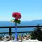 Guest House Lifestyle Holiday