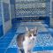 Casa Meftah Blue