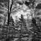 Three Pines Chalet- A Family's Mountain Retreat in Arrowhead Lakes - Thornhurst