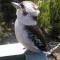 Halls Gap Hideaway