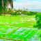 Aroma Villa Homestay