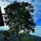 Vayalada View Point Resort - Kozhikode